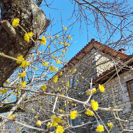 Bujtina Tusha Hotel Priska e Madhe Bagian luar foto