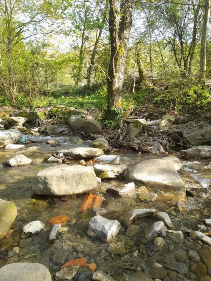 Bujtina Tusha Hotel Priska e Madhe Bagian luar foto