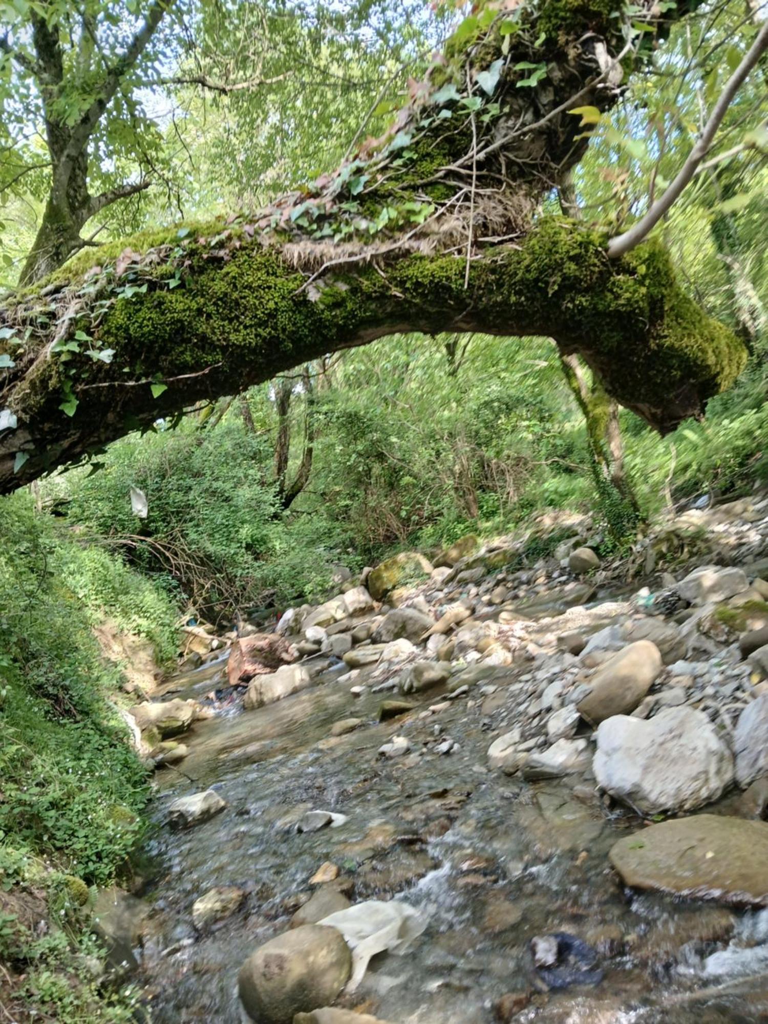 Bujtina Tusha Hotel Priska e Madhe Bagian luar foto