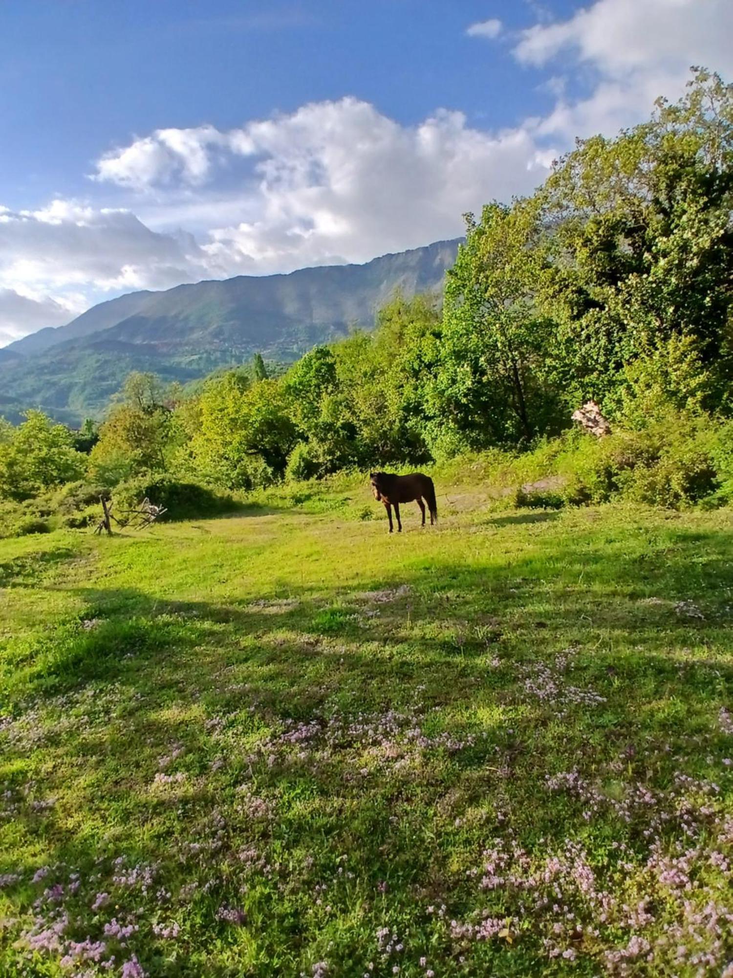 Bujtina Tusha Hotel Priska e Madhe Bagian luar foto