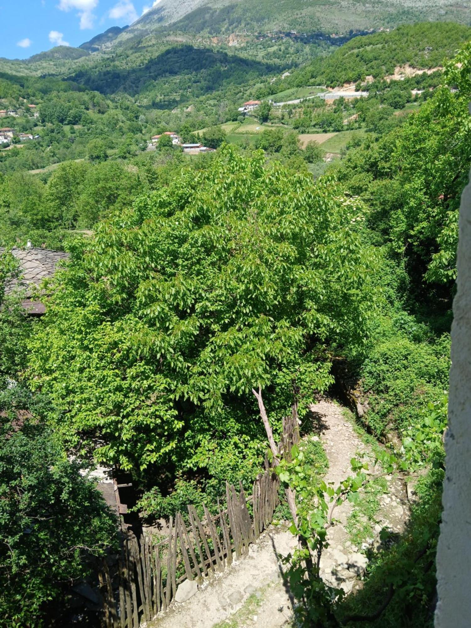 Bujtina Tusha Hotel Priska e Madhe Bagian luar foto