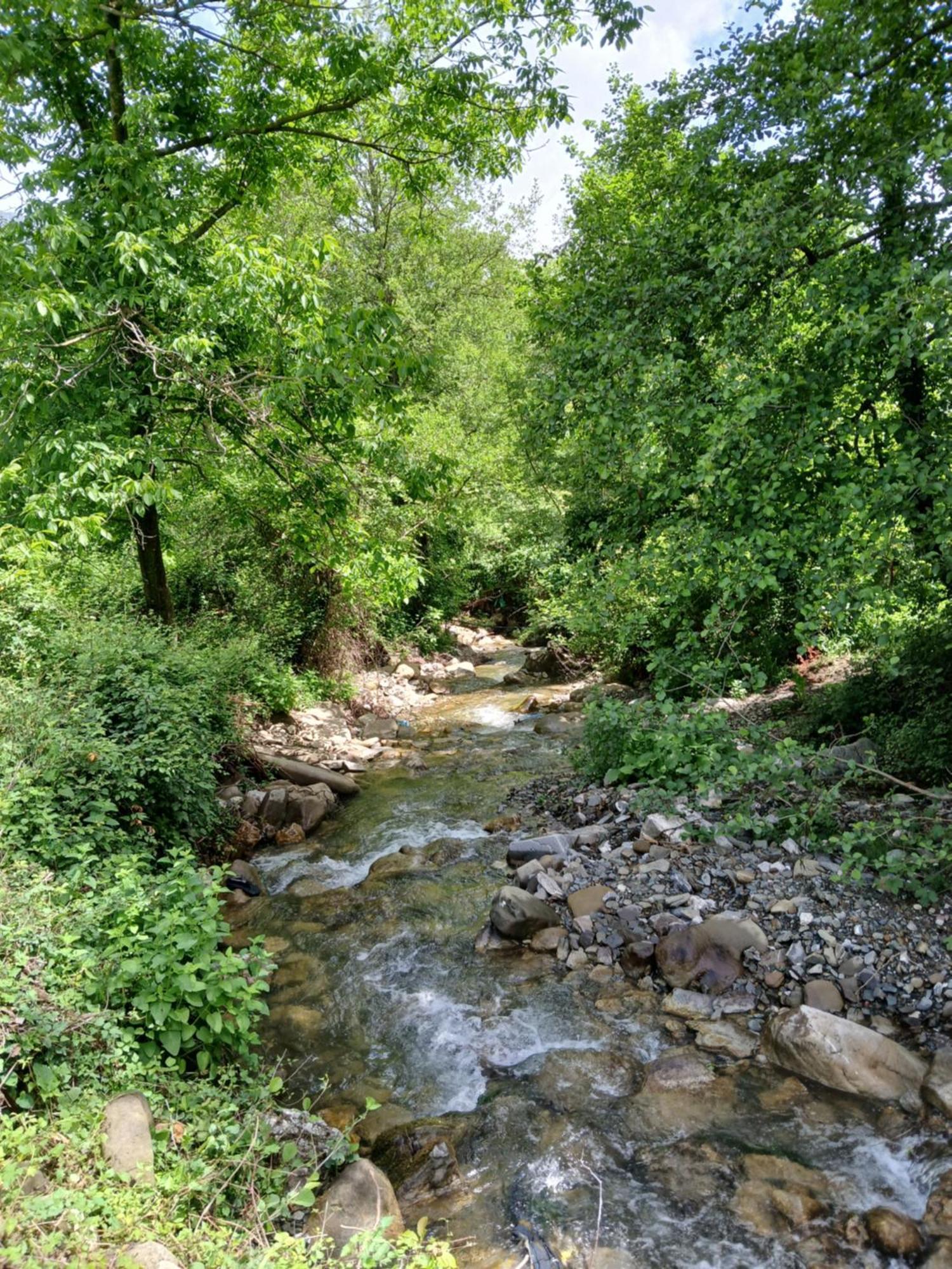Bujtina Tusha Hotel Priska e Madhe Bagian luar foto